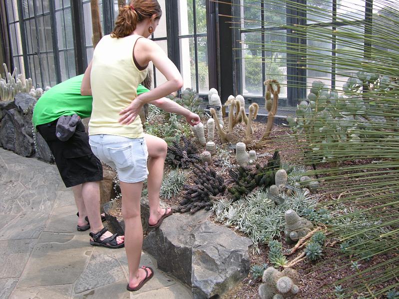 DSCN0631.JPG