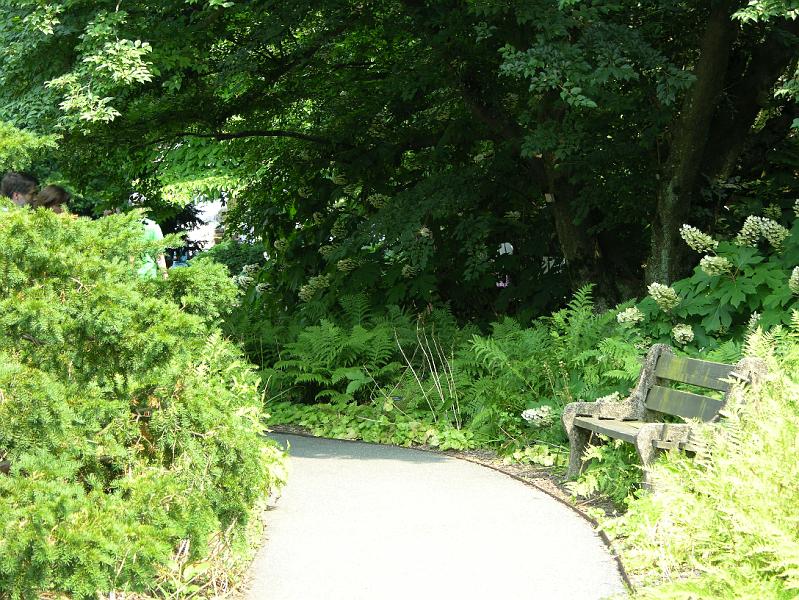 DSCN0688.JPG