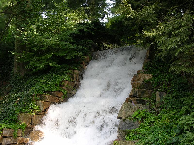 DSCN0695.JPG