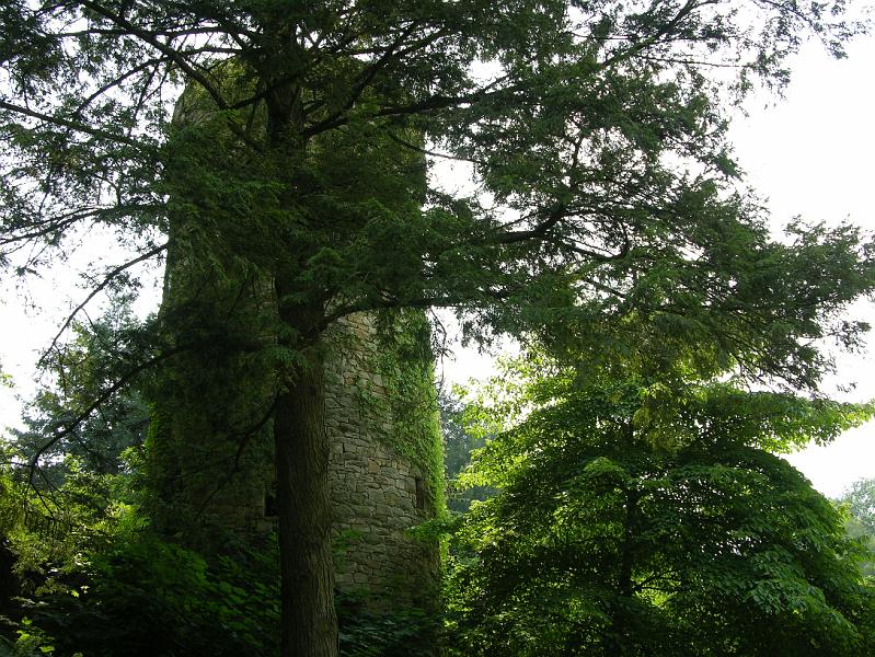 DSCN0698.JPG