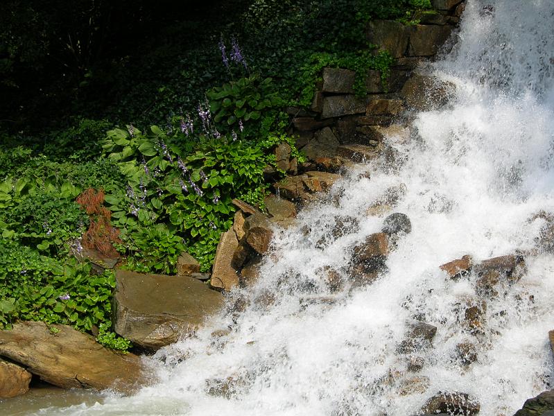 DSCN0700.JPG