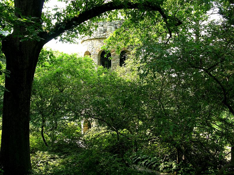 DSCN0708.JPG