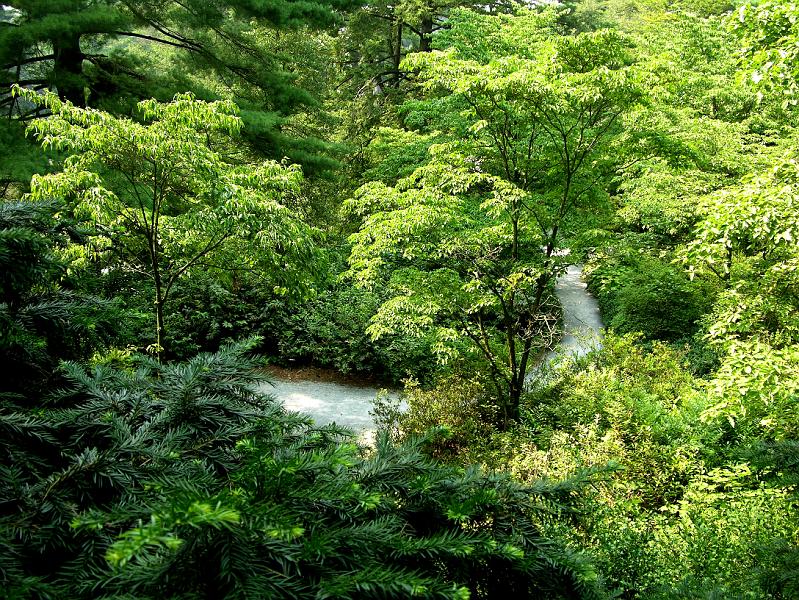 DSCN0712.JPG