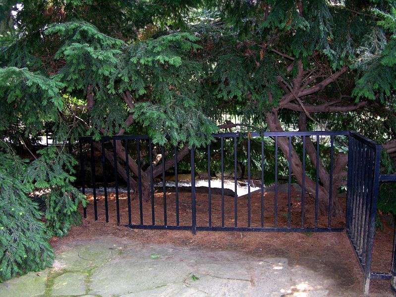 DSCN0713.JPG