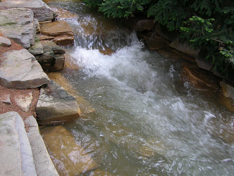 DSCN0714.JPG