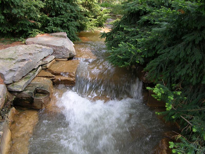 DSCN0715.JPG