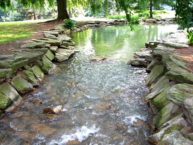 DSCN0719.JPG