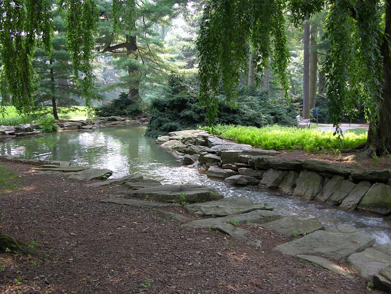 DSCN0720.JPG