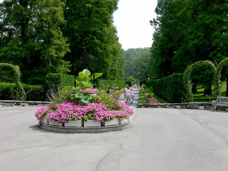 DSCN0343.JPG
