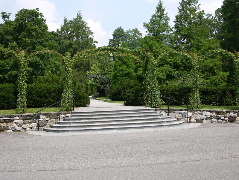 DSCN0344.JPG