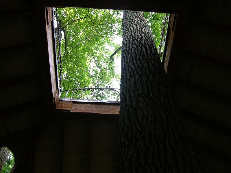 DSCN0387.JPG