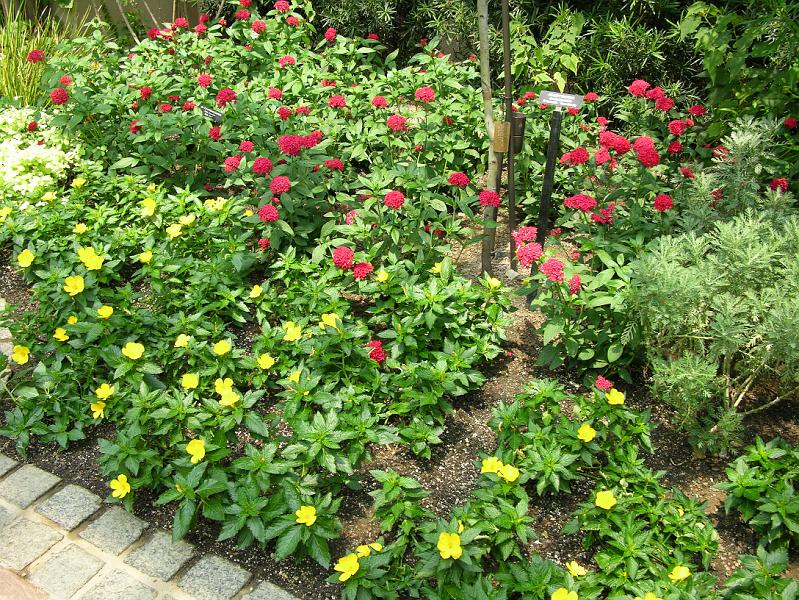 DSCN0409.JPG