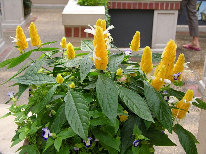 DSCN0434.JPG