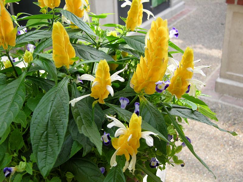 DSCN0435.JPG