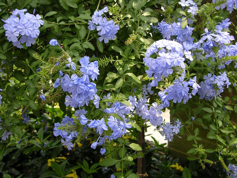 DSCN0436.JPG