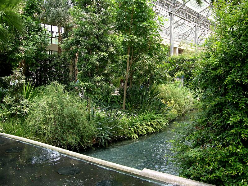 DSCN0456.JPG