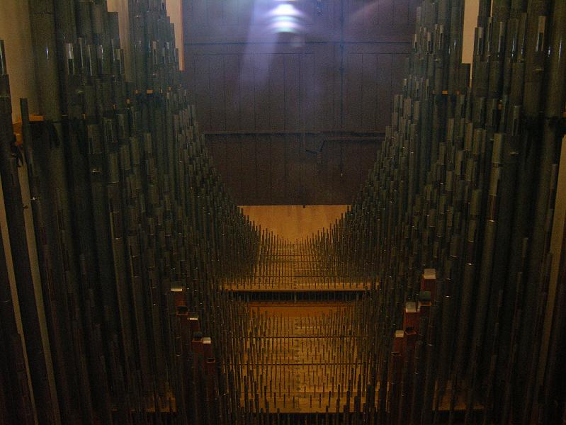 DSCN0464.JPG