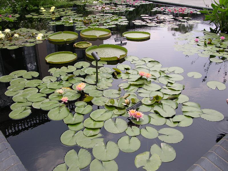 DSCN0470.JPG