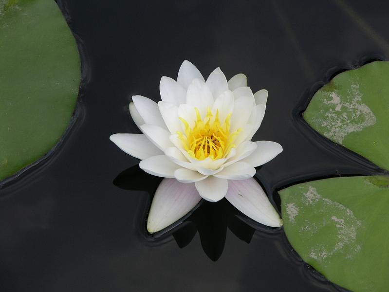 DSCN0475.JPG
