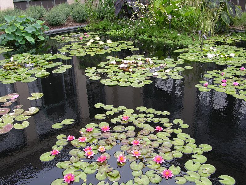 DSCN0477.JPG