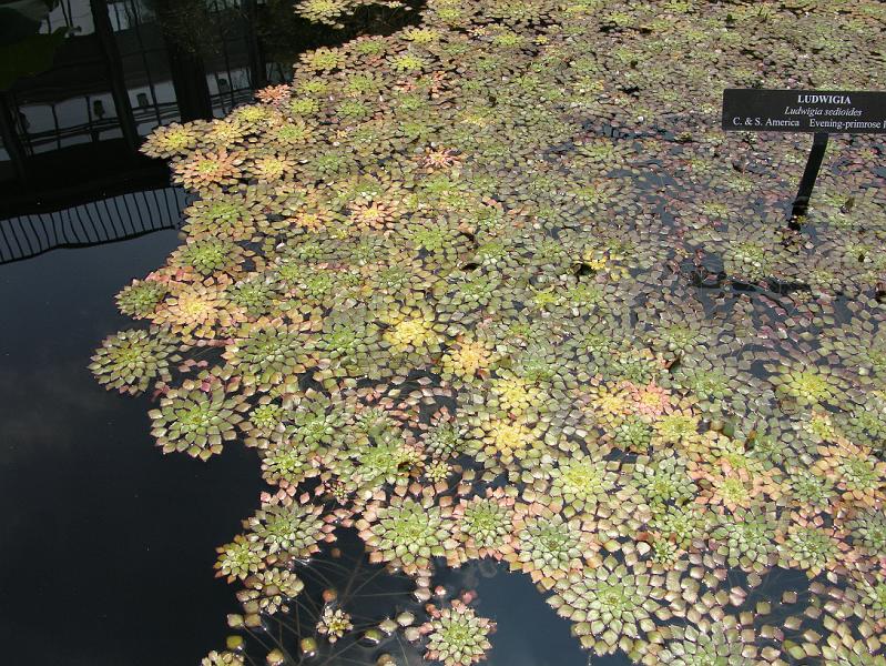 DSCN0490.JPG