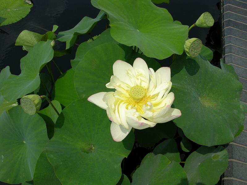 DSCN0496.JPG