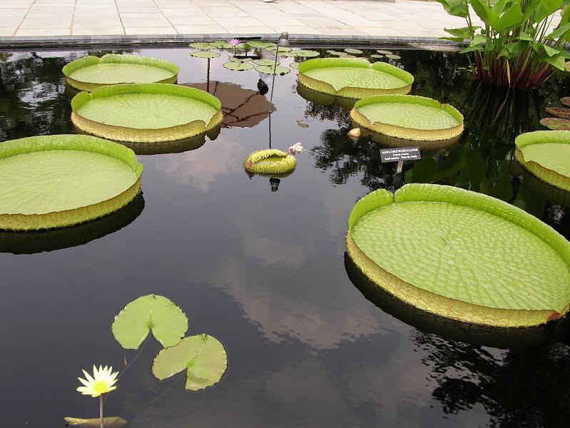 DSCN0499.JPG