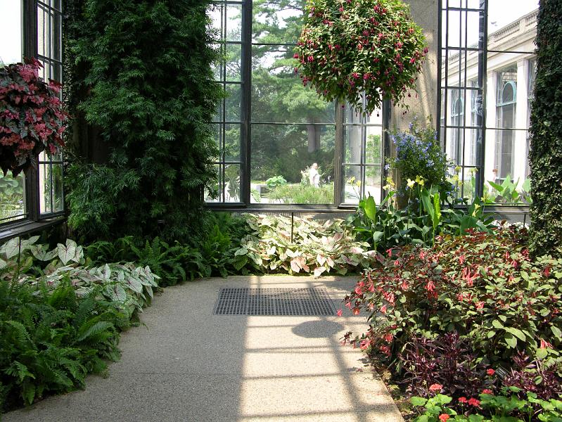 DSCN0510.JPG