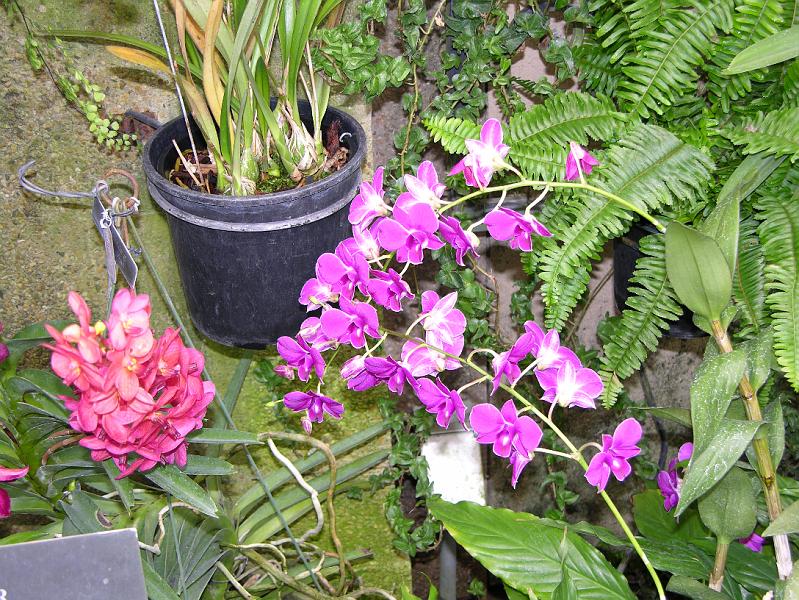 DSCN0520.JPG
