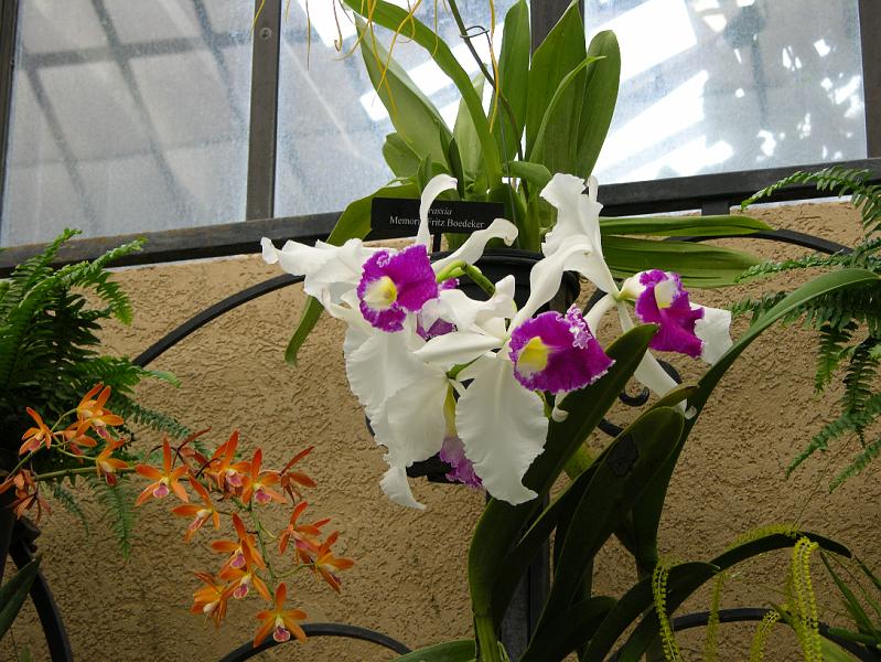 DSCN0522.JPG