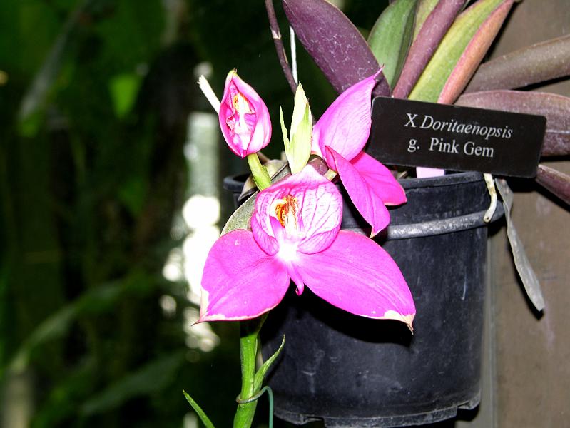 DSCN0526.JPG