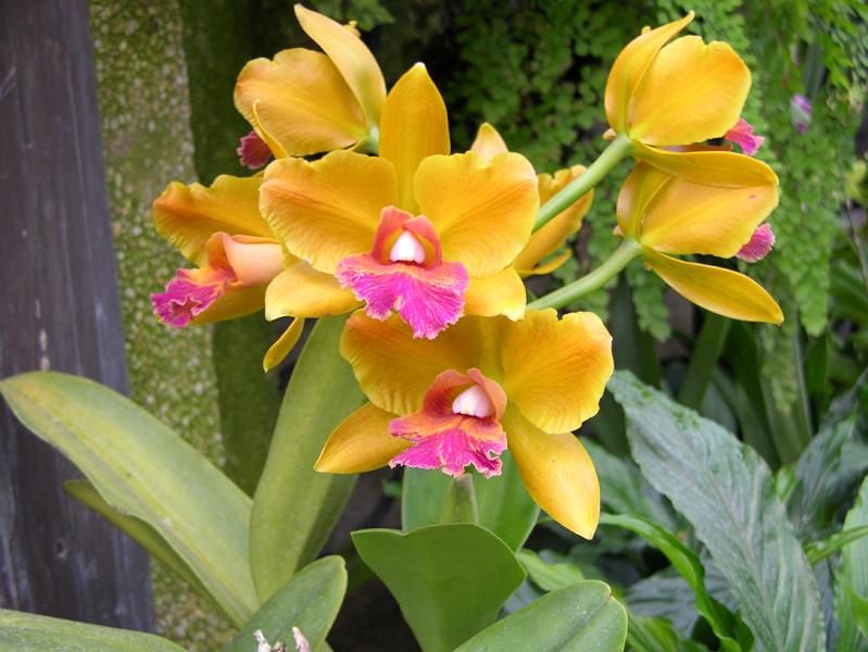 DSCN0536.JPG