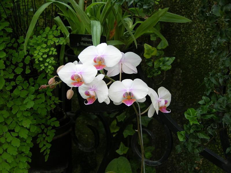 DSCN0537.JPG