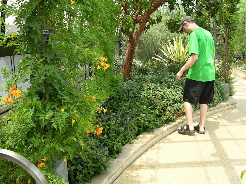 DSCN0544.JPG