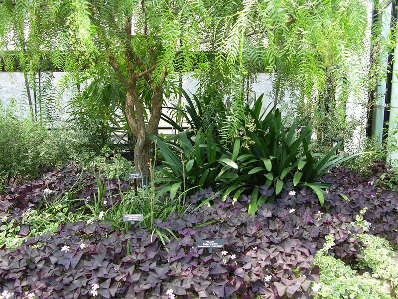 DSCN0550.JPG