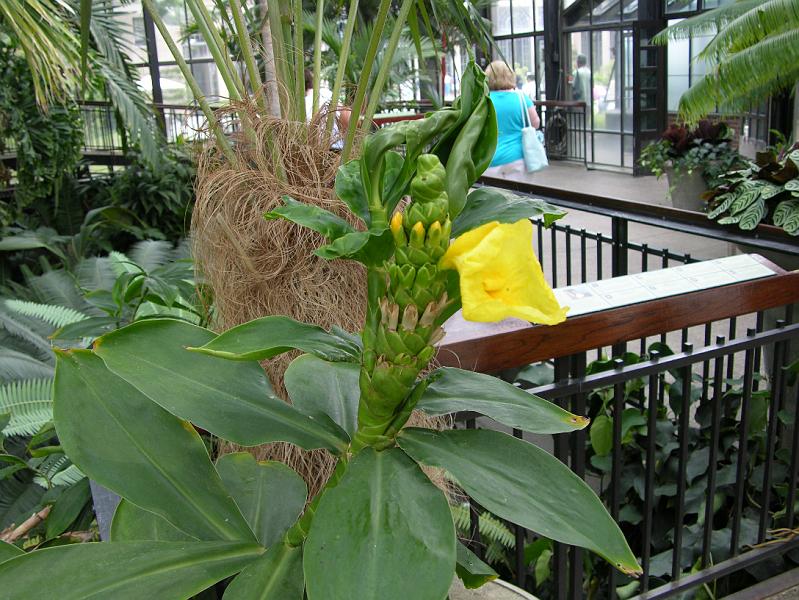 DSCN0556.JPG