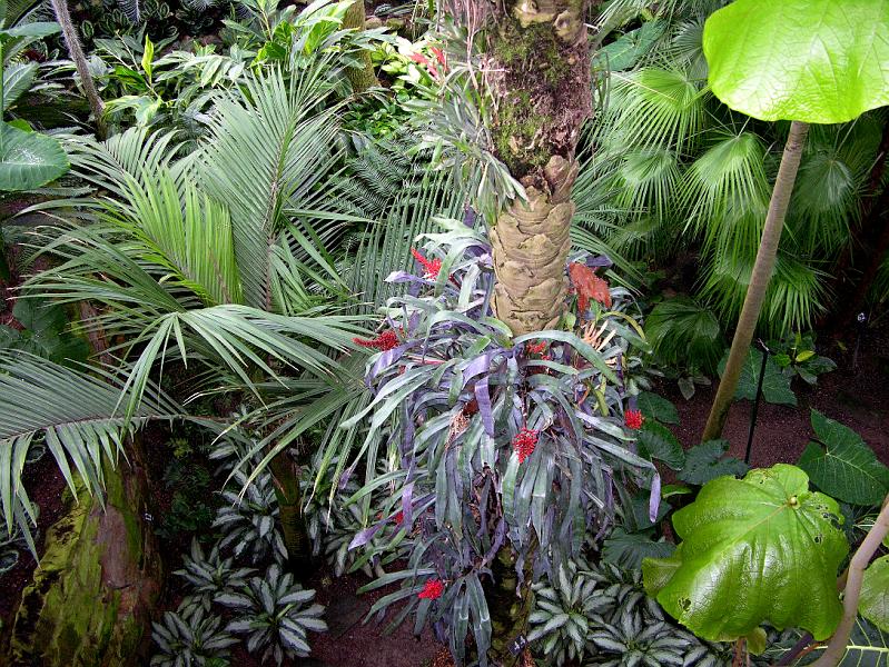 DSCN0569.JPG