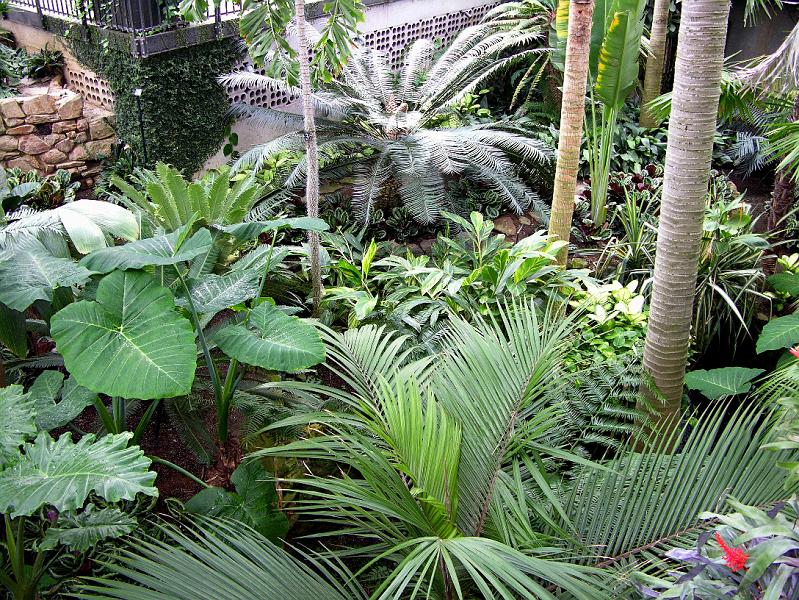 DSCN0570.JPG