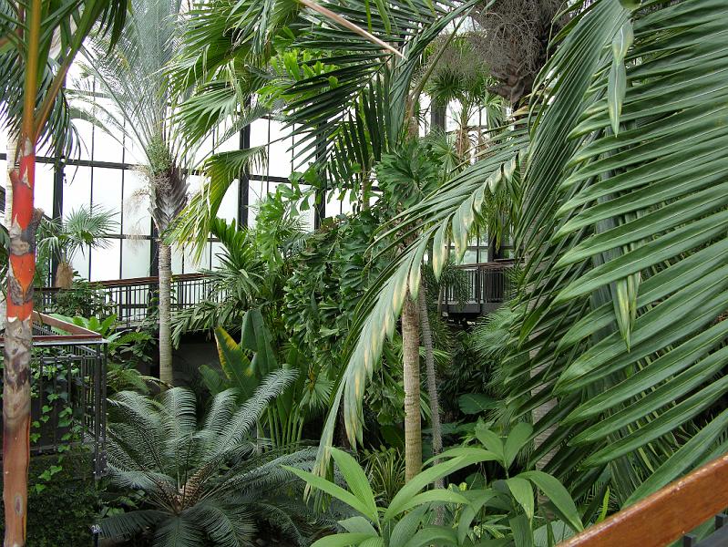 DSCN0574.JPG
