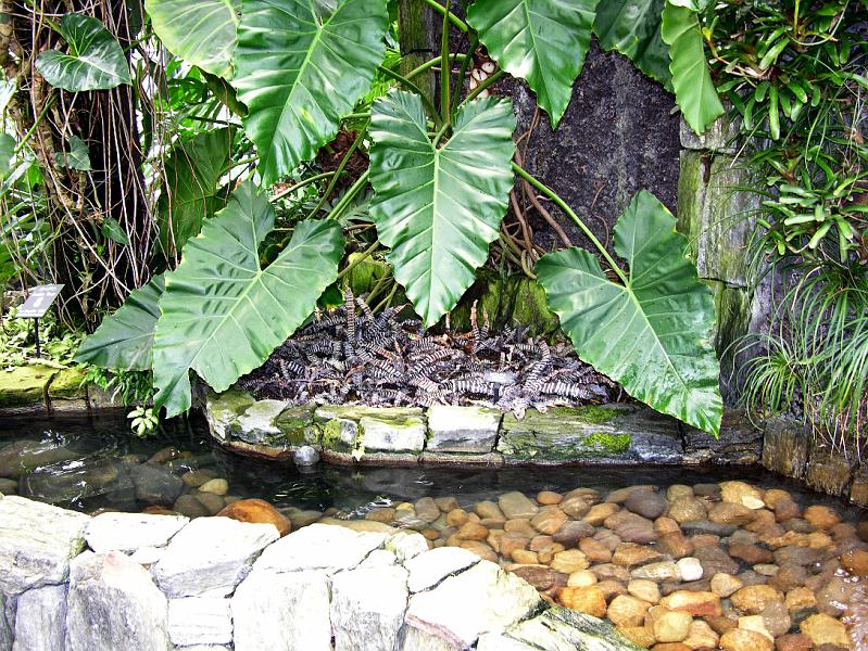 DSCN0592.JPG