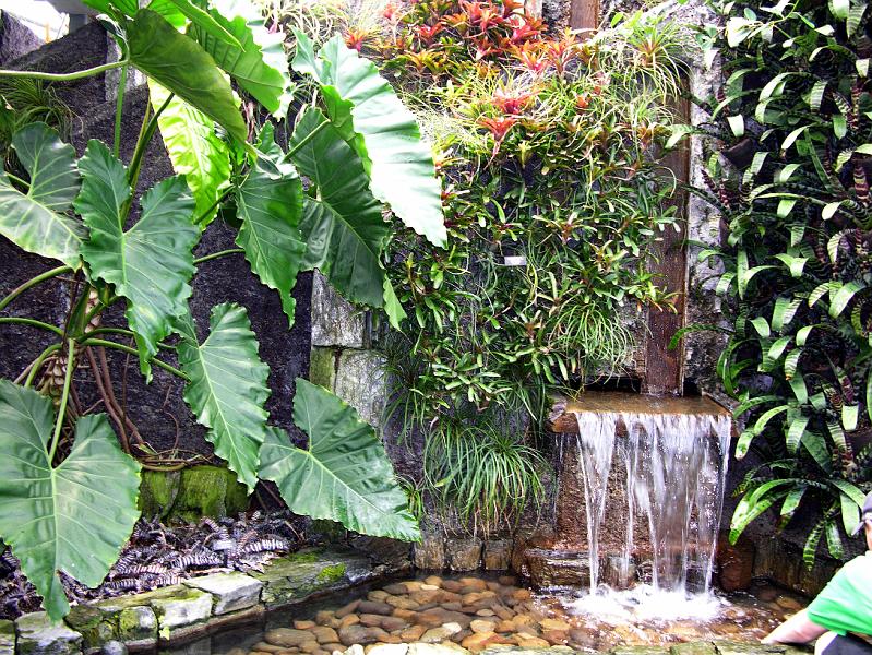 DSCN0593.JPG
