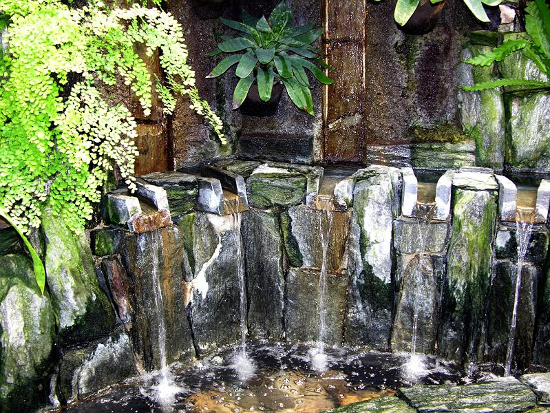 DSCN0594.JPG
