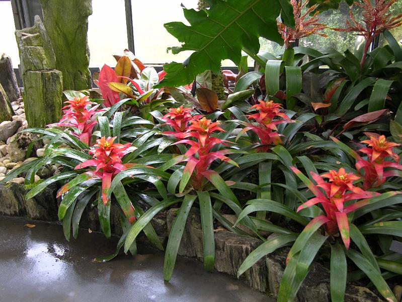 DSCN0599.JPG