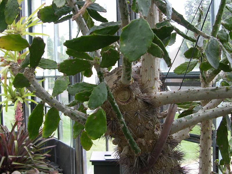 DSCN0601.JPG