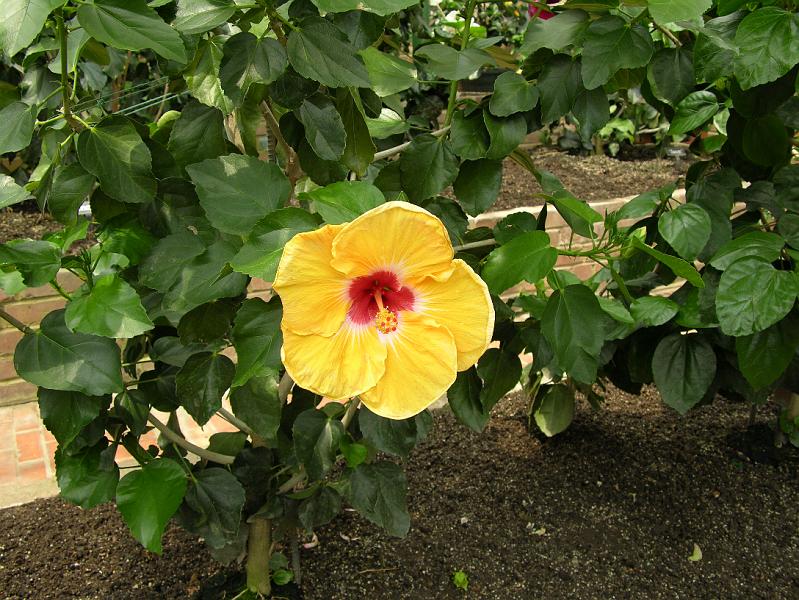 DSCN0607.JPG