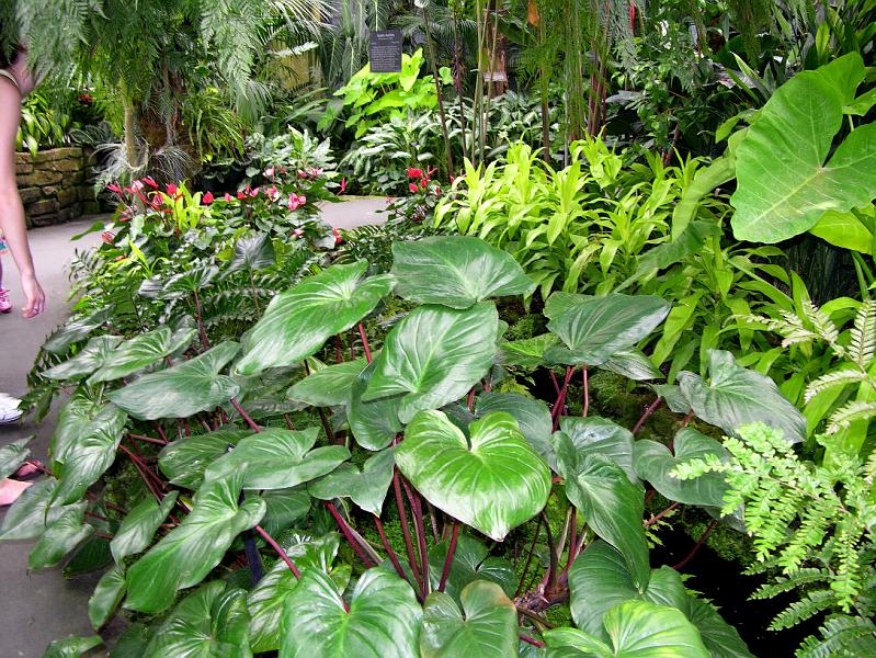 DSCN0611.JPG