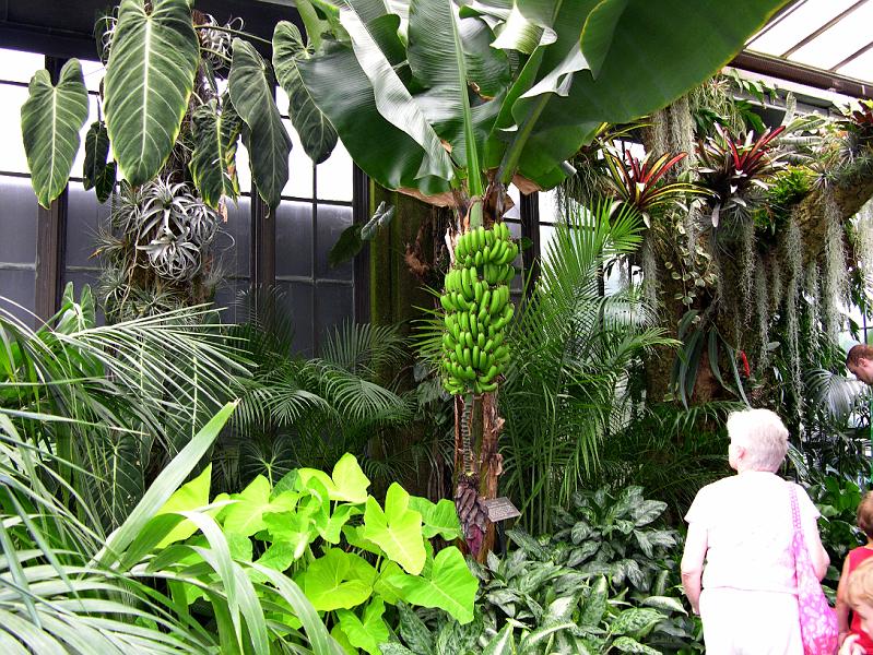 DSCN0614.JPG