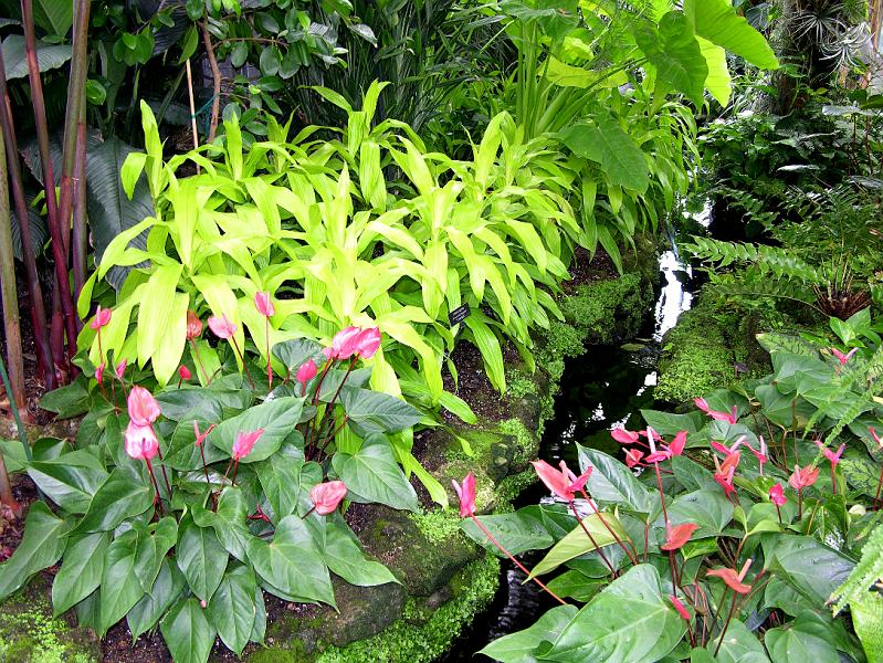 DSCN0615.JPG