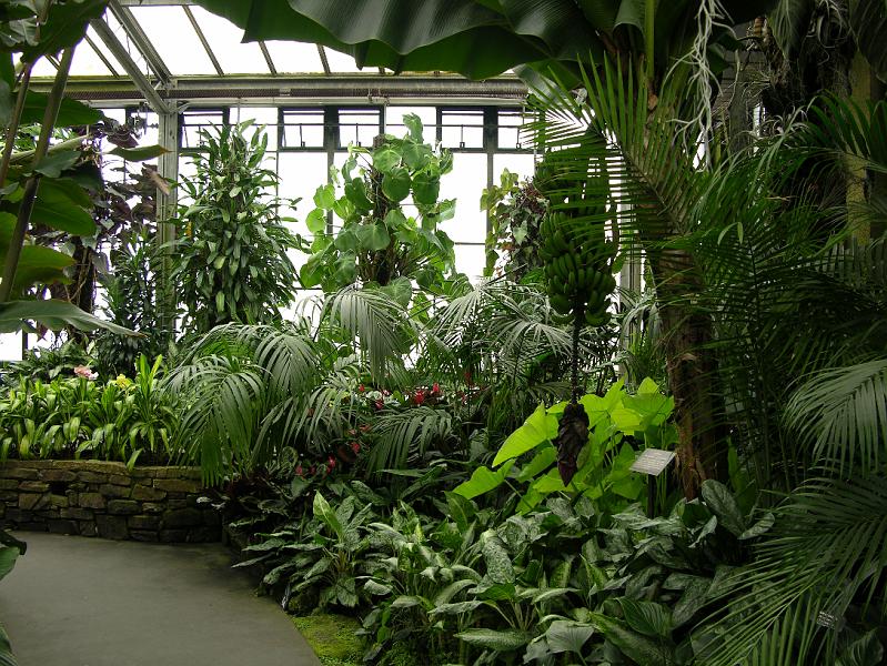 DSCN0618.JPG