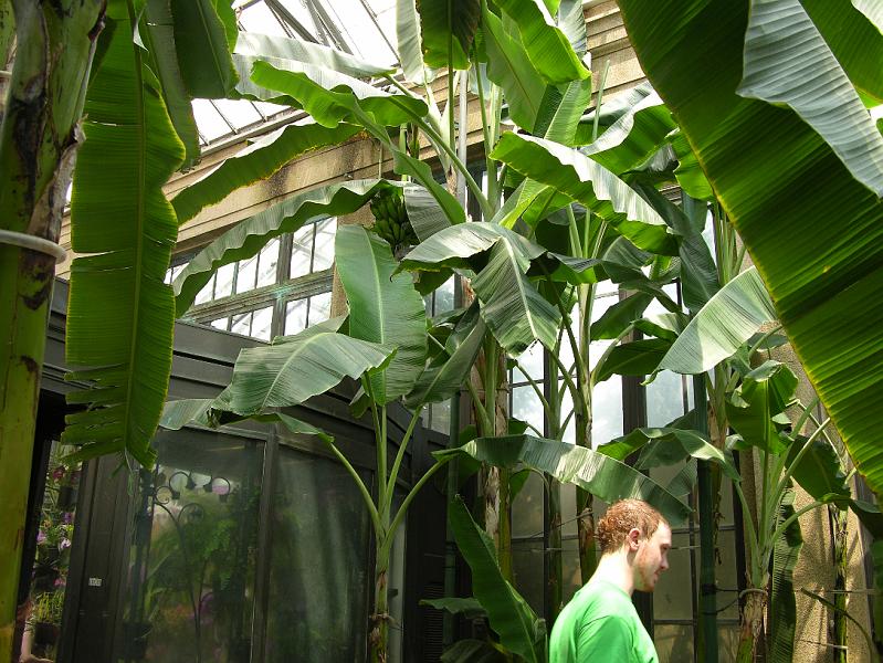 DSCN0620.JPG